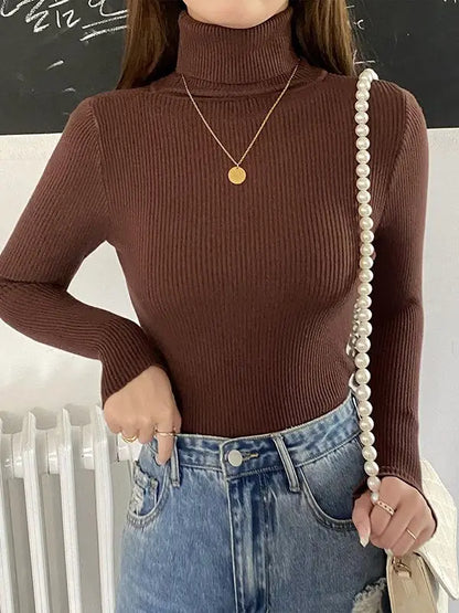 Kvinders Turtleneck Sweater Strikket Cashmere 20