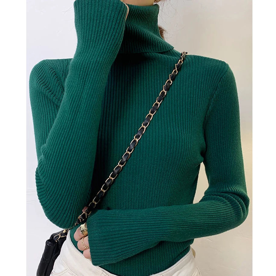 Kvinders Turtleneck Sweater Strikket Cashmere 23