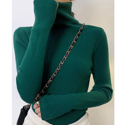 Kvinders Turtleneck Sweater Strikket Cashmere 23