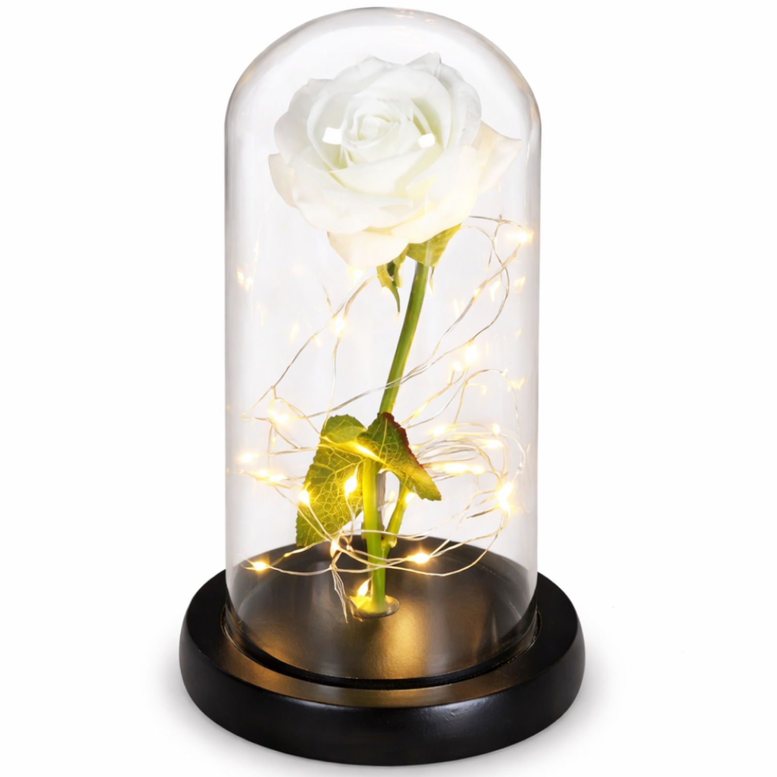 LED Evig Rose 1