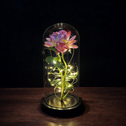LED Evig Rose 2
