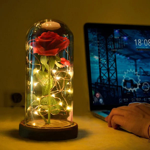 LED Evig Rose 4