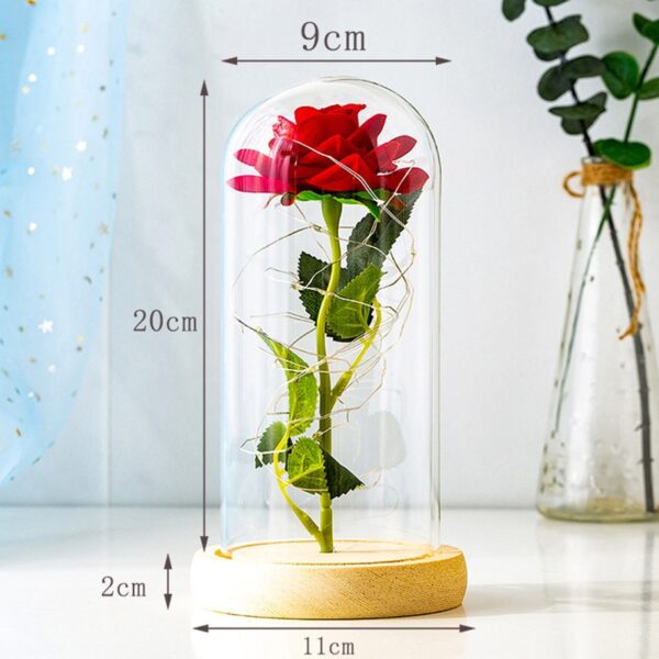 LED Evig Rose 6