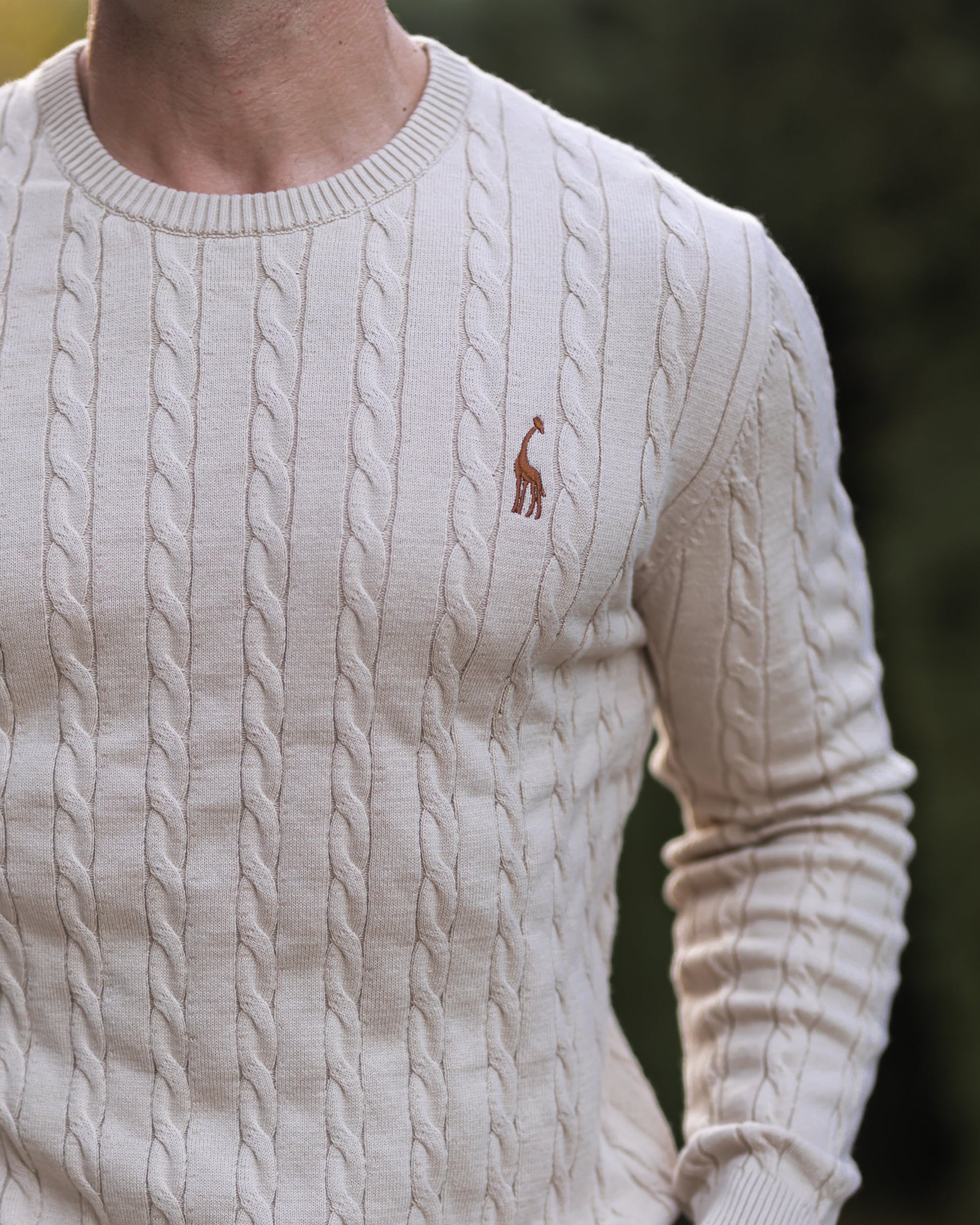 Mænds Kabelstrikket Sweater Moderne Stil 1