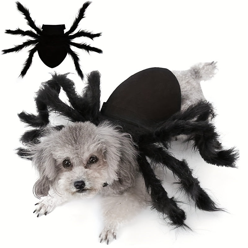 Mellemstore Hundekostume Edderkop Design 0