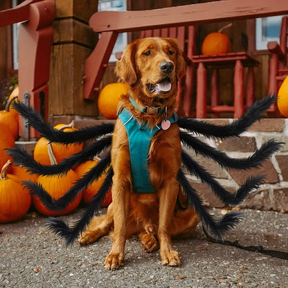 Mellemstore Hundekostume Edderkop Design 2
