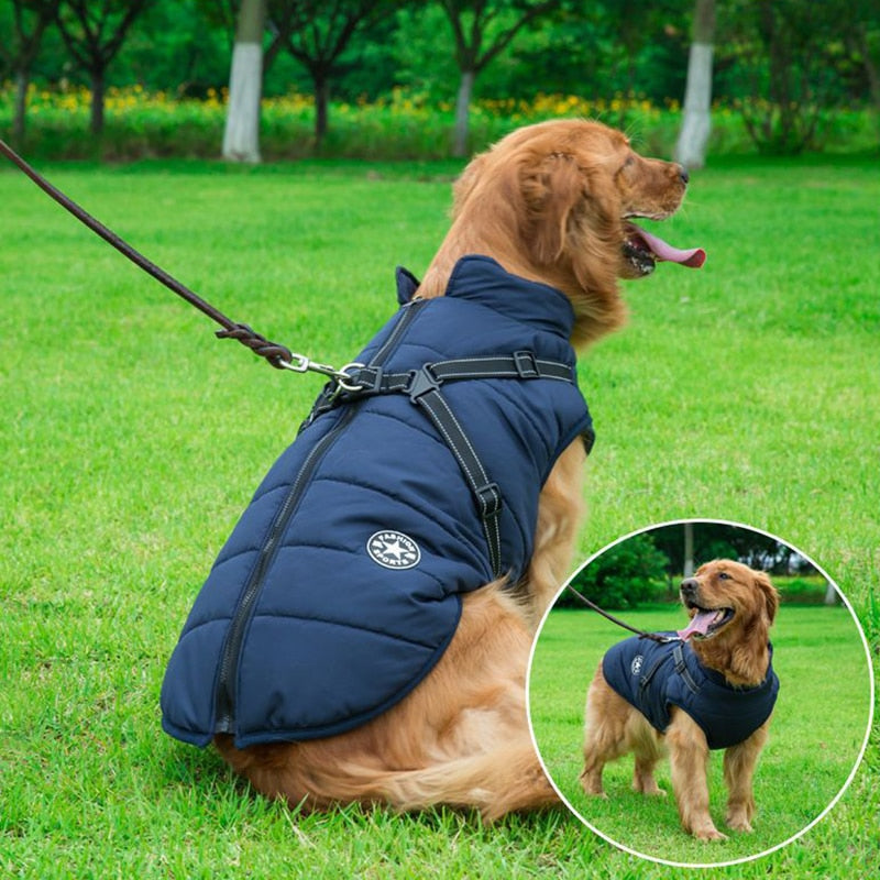 Vinterjakke til Hunde Komfortabel 1