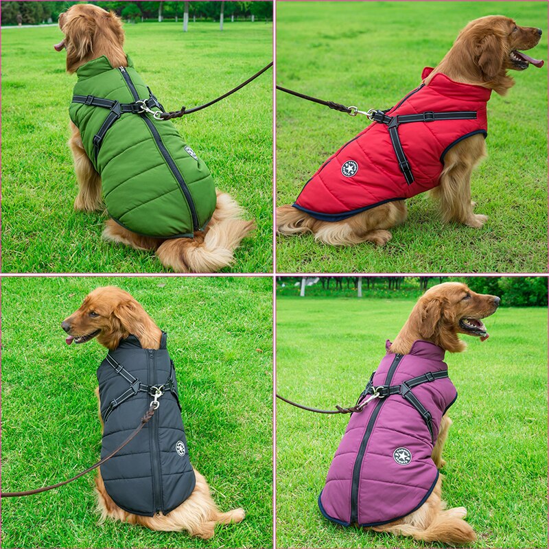 Vinterjakke til Hunde Komfortabel 3